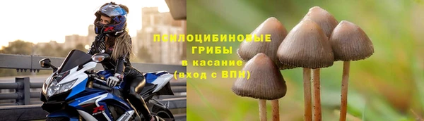 дурь Белокуриха